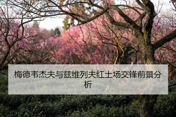梅德韦杰夫与兹维列夫红土场交锋前景分析